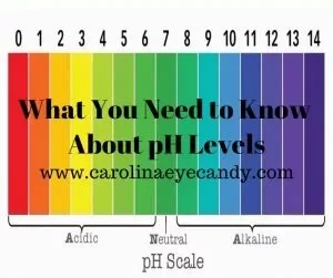 What You Need to Know About pH Levels